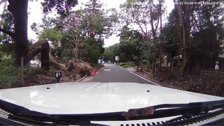 180916_1.jpg