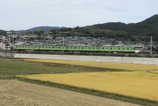 201016.jpg