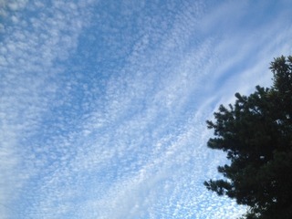 IMG_3042.JPG