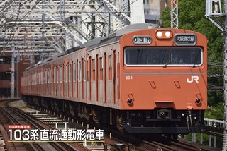 texj_38020.jpg